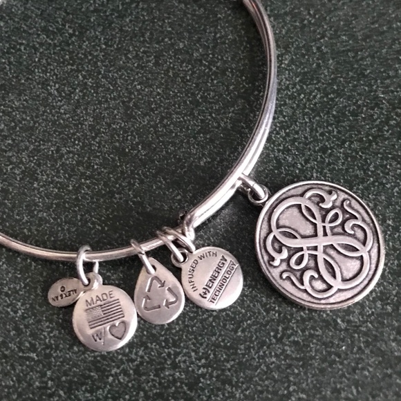 Alex and Ani Silver Expandable Wire Bracelet 2013 - Picture 13 of 16